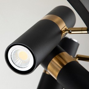 Подвесная люстра Favourite Light point 2997-9P в Ноябрьске - noyabrsk.mebel24.online | фото 5