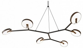 Подвесная люстра Favourite Paritet 4401-6P в Ноябрьске - noyabrsk.mebel24.online | фото