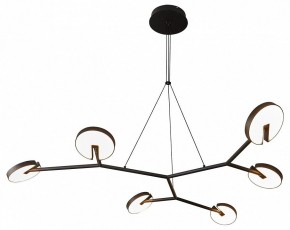 Подвесная люстра Favourite Paritet 4401-6P в Ноябрьске - noyabrsk.mebel24.online | фото 2