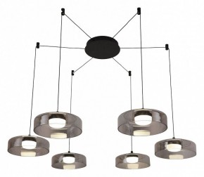 Подвесная люстра Favourite Platta 4490-6P в Ноябрьске - noyabrsk.mebel24.online | фото