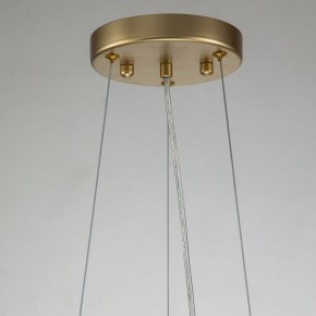 Подвесная люстра Favourite Rays 4058-14P в Ноябрьске - noyabrsk.mebel24.online | фото 11