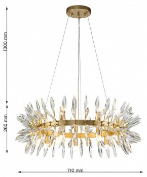 Подвесная люстра Favourite Rays 4058-14P в Ноябрьске - noyabrsk.mebel24.online | фото 7