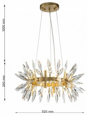 Подвесная люстра Favourite Rays 4058-8P в Ноябрьске - noyabrsk.mebel24.online | фото 6