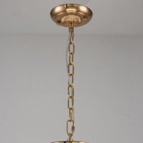 Подвесная люстра Favourite Rocca 2689-9P в Ноябрьске - noyabrsk.mebel24.online | фото 2