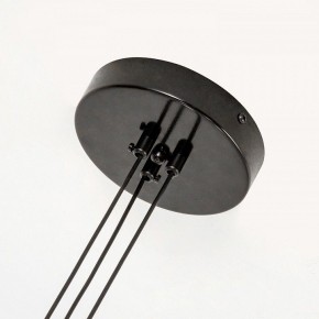 Подвесная люстра Favourite Tatti 4516-6P в Ноябрьске - noyabrsk.mebel24.online | фото 7
