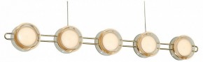 Подвесная люстра Favourite Yo-yo 4334-10P в Ноябрьске - noyabrsk.mebel24.online | фото