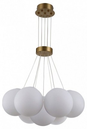 Подвесная люстра Kink Light Алди 08475-7,20 в Ноябрьске - noyabrsk.mebel24.online | фото 2