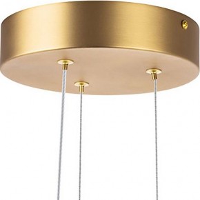 Подвесная люстра Lightstar Bergamo 745247 в Ноябрьске - noyabrsk.mebel24.online | фото 6