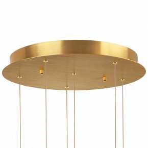 Подвесная люстра Lightstar Colore 805169 в Ноябрьске - noyabrsk.mebel24.online | фото 6