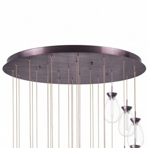 Подвесная люстра Lightstar Colore 805289 в Ноябрьске - noyabrsk.mebel24.online | фото 6