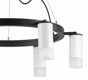 Подвесная люстра Lightstar Rullo LR0163661 в Ноябрьске - noyabrsk.mebel24.online | фото 5