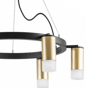 Подвесная люстра Lightstar Rullo LR0164061 в Ноябрьске - noyabrsk.mebel24.online | фото 4