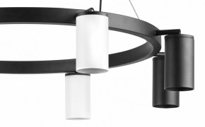 Подвесная люстра Lightstar Rullo LR018364374 в Ноябрьске - noyabrsk.mebel24.online | фото 5