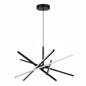 Подвесная люстра Lumion Parker 6563/60L в Ноябрьске - noyabrsk.mebel24.online | фото 2