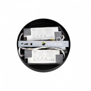 Подвесная люстра Lumion Parker 6563/60L в Ноябрьске - noyabrsk.mebel24.online | фото 6
