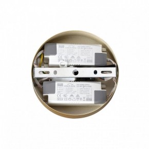 Подвесная люстра Lumion Parker 6564/60L в Ноябрьске - noyabrsk.mebel24.online | фото 6