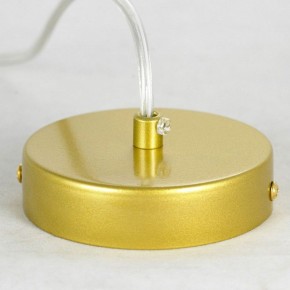 Подвесная люстра Lussole Downey LSP-8804 в Ноябрьске - noyabrsk.mebel24.online | фото 6