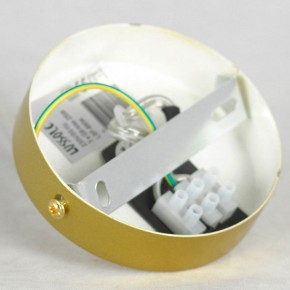 Подвесная люстра Lussole Downey LSP-8804 в Ноябрьске - noyabrsk.mebel24.online | фото 7