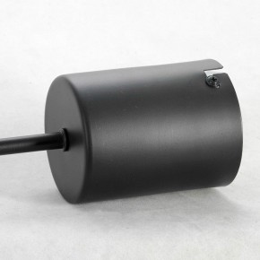 Подвесная люстра Lussole Duncan GRLSP-8252 в Ноябрьске - noyabrsk.mebel24.online | фото 4
