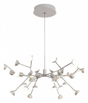 Подвесная люстра Mantra Adn 6260 в Ноябрьске - noyabrsk.mebel24.online | фото 2