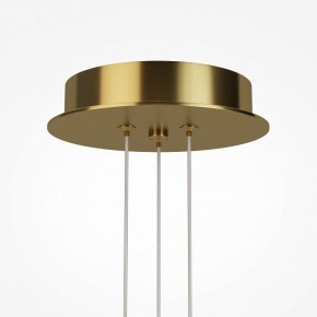 Подвесная люстра Maytoni Arana MOD401PL-L108BS3K в Ноябрьске - noyabrsk.mebel24.online | фото 7