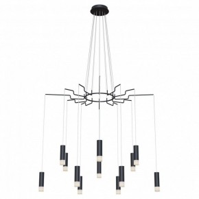 Подвесная люстра Maytoni Davida MOD035PL-12B в Ноябрьске - noyabrsk.mebel24.online | фото 2