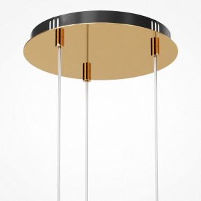 Подвесная люстра Maytoni Drop MOD273PL-L33G3K в Ноябрьске - noyabrsk.mebel24.online | фото 6