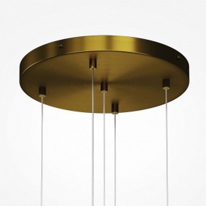 Подвесная люстра Maytoni Frozen MOD254PL-05BS в Ноябрьске - noyabrsk.mebel24.online | фото 4