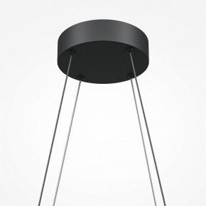 Подвесная люстра Maytoni Halo MOD244PL-L50BK в Ноябрьске - noyabrsk.mebel24.online | фото 5