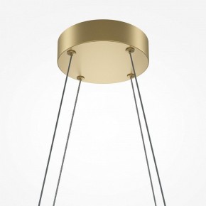 Подвесная люстра Maytoni Halo MOD244PL-L50BSK в Ноябрьске - noyabrsk.mebel24.online | фото 4