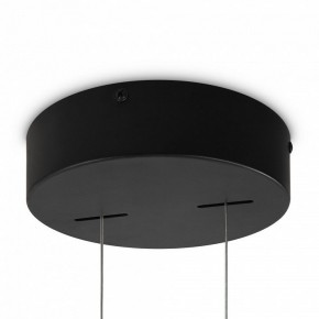 Подвесная люстра Maytoni Origami MOD163PL-L38B4K в Ноябрьске - noyabrsk.mebel24.online | фото
