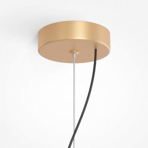 Подвесная люстра Maytoni Reels MOD268PL-03G в Ноябрьске - noyabrsk.mebel24.online | фото 5