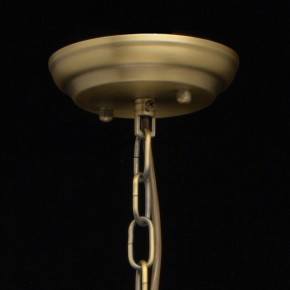 Подвесная люстра MW-Light Альгеро 3 285010703 в Ноябрьске - noyabrsk.mebel24.online | фото 14