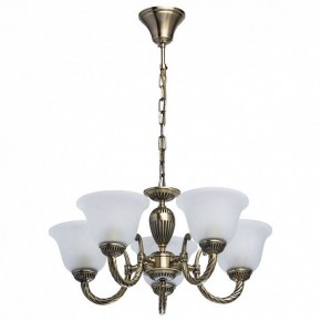 Подвесная люстра MW-Light Ариадна 20 450016305 в Ноябрьске - noyabrsk.mebel24.online | фото 2