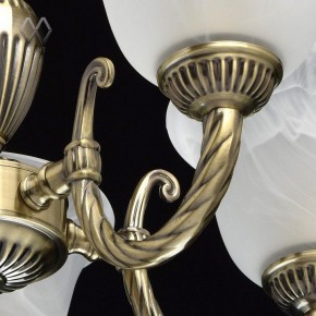 Подвесная люстра MW-Light Ариадна 20 450016305 в Ноябрьске - noyabrsk.mebel24.online | фото 6