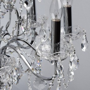 Подвесная люстра MW-Light Каролина 7 367013408 в Ноябрьске - noyabrsk.mebel24.online | фото 16