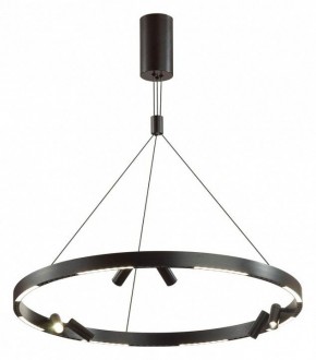 Подвесная люстра Odeon Light Beveren 6683/103L в Ноябрьске - noyabrsk.mebel24.online | фото 2