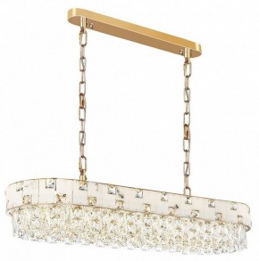 Подвесная люстра Odeon Light Chessi 5076/10 в Ноябрьске - noyabrsk.mebel24.online | фото 2