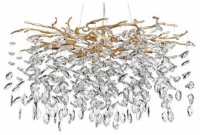 Подвесная люстра Odeon Light Delica 4969/10 в Ноябрьске - noyabrsk.mebel24.online | фото