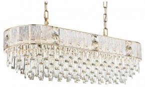 Подвесная люстра Odeon Light Fiesta 5070/14 в Ноябрьске - noyabrsk.mebel24.online | фото