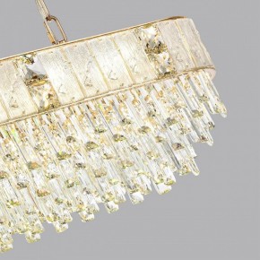 Подвесная люстра Odeon Light Fiesta 5070/14 в Ноябрьске - noyabrsk.mebel24.online | фото 6