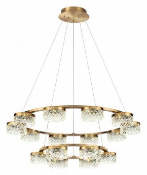 Подвесная люстра Odeon Light Fivre 5032/96L в Ноябрьске - noyabrsk.mebel24.online | фото 2