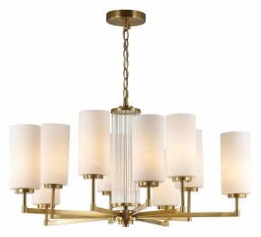 Подвесная люстра Odeon Light Kasali 4990/10 в Ноябрьске - noyabrsk.mebel24.online | фото 3
