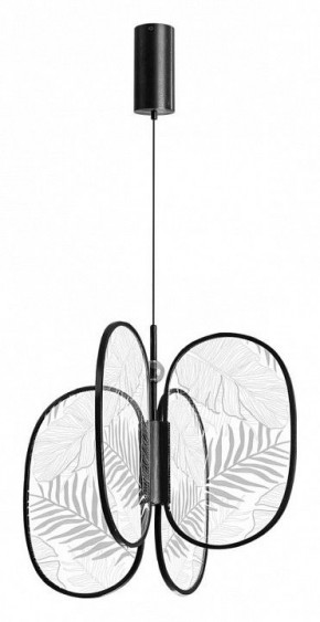 Подвесная люстра Odeon Light Piuma 6665/53L в Ноябрьске - noyabrsk.mebel24.online | фото 3
