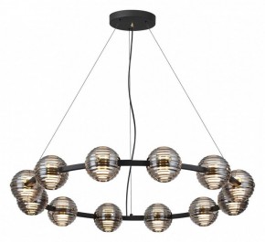 Подвесная люстра Odeon Light Troni 5041/120L в Ноябрьске - noyabrsk.mebel24.online | фото 2