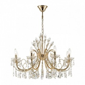 Подвесная люстра Odeon Light Versia 4977/8 в Ноябрьске - noyabrsk.mebel24.online | фото 2