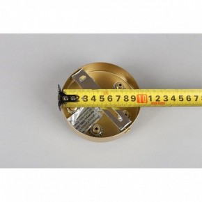 Подвесная люстра Omnilux Cavriglia OML-52803-08 в Ноябрьске - noyabrsk.mebel24.online | фото 13