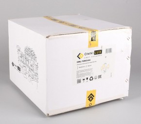 Подвесная люстра Omnilux Malito OML-79903-04 в Ноябрьске - noyabrsk.mebel24.online | фото 5