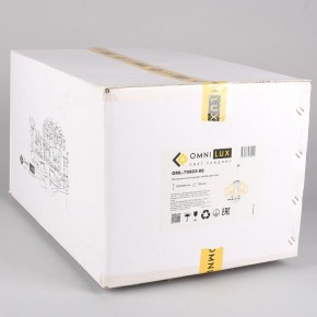 Подвесная люстра Omnilux Malito OML-79903-06 в Ноябрьске - noyabrsk.mebel24.online | фото 3