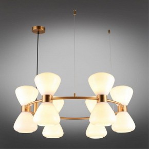 Подвесная люстра Omnilux Trevasco OML-59603-12 в Ноябрьске - noyabrsk.mebel24.online | фото 6